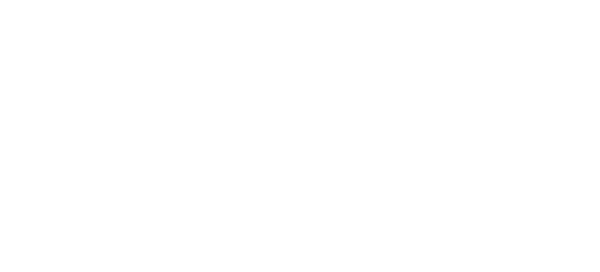 DANGANI STUDIOS logo