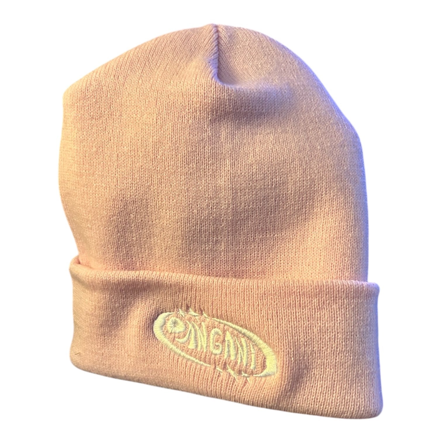 Dangani Logo Beanie